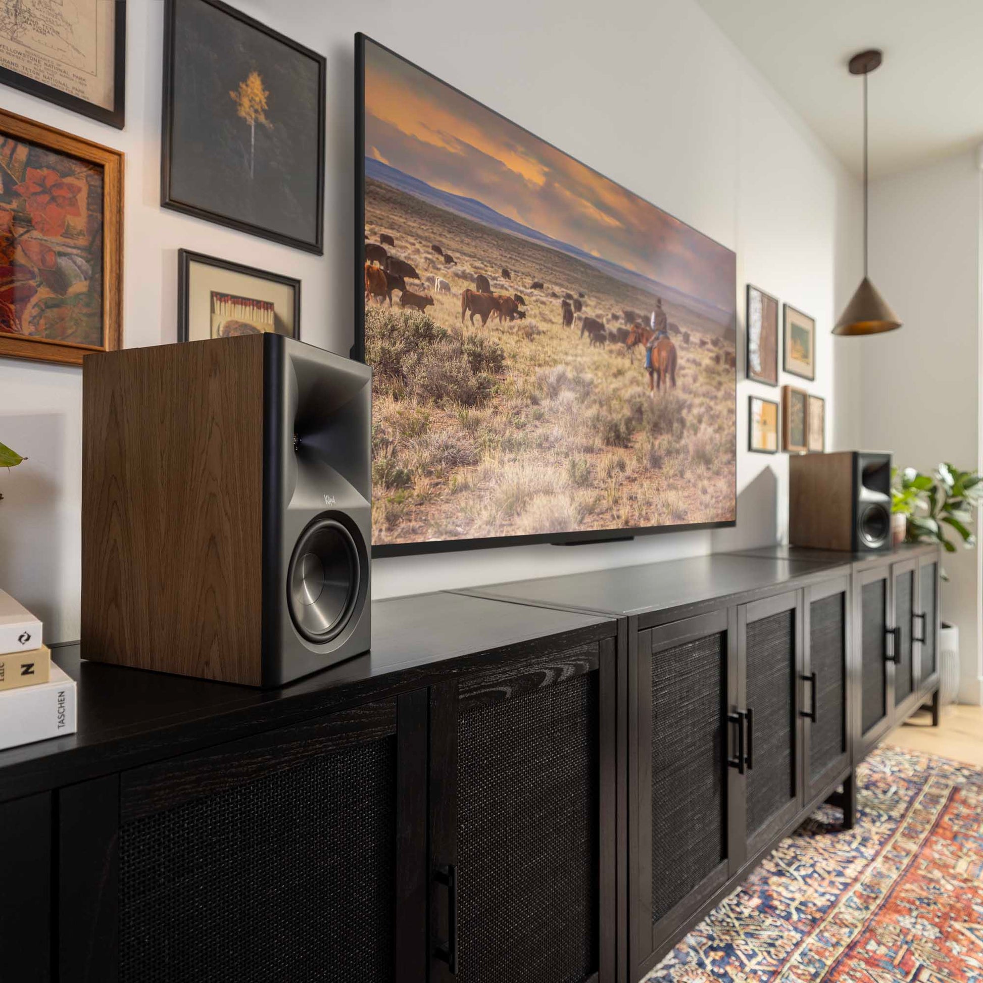 Living room with a large TV displaying a nature scene, flanked by speakers and a wooden cabinet.