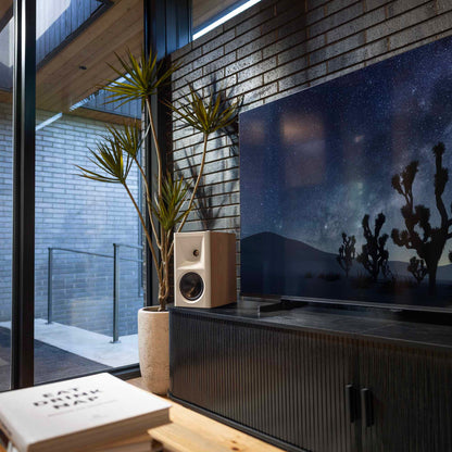 Modern living room with a large TV displaying a desert scene, speakers, and decorative plants.