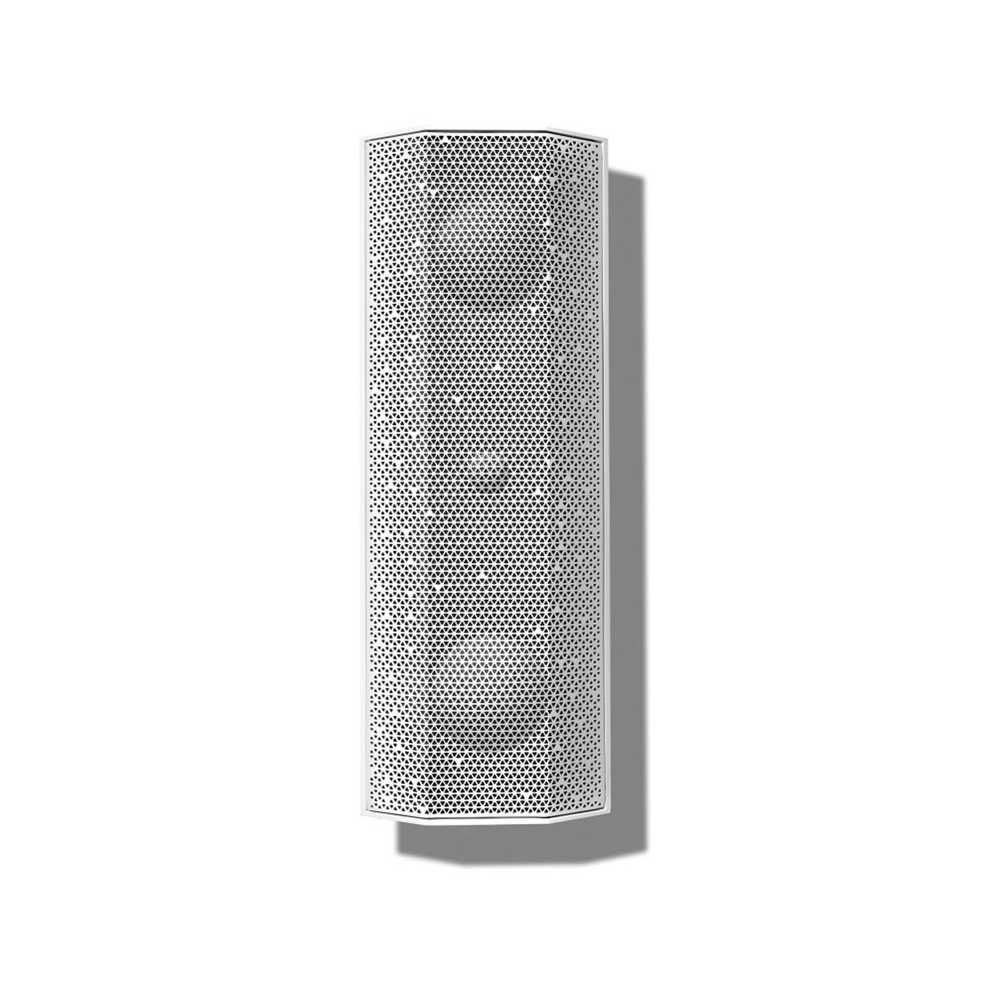Lithe Audio IO1 Indoor Outdoor Wi-Fi Active Speaker