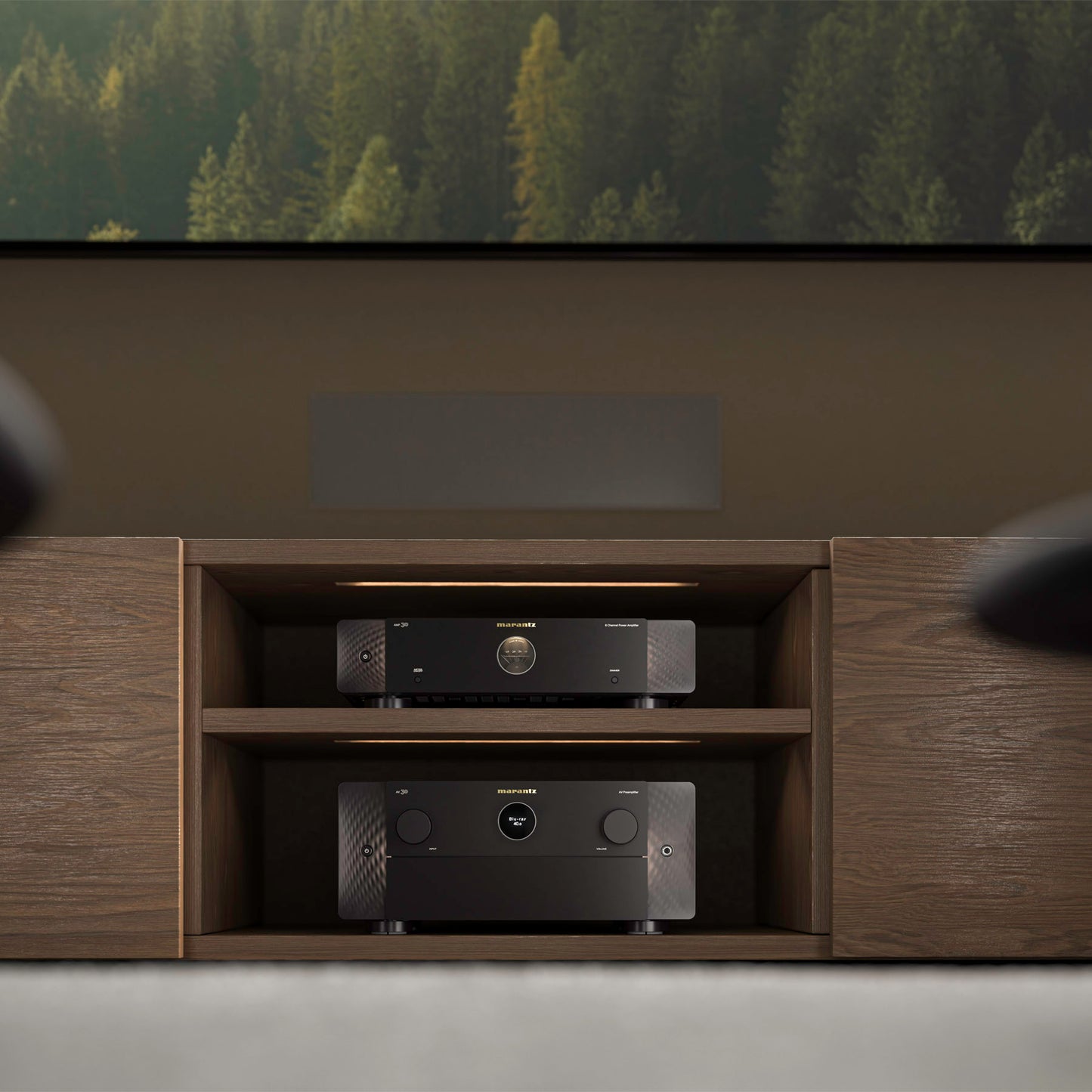 Audio equipment in a wooden cabinet with a forest background