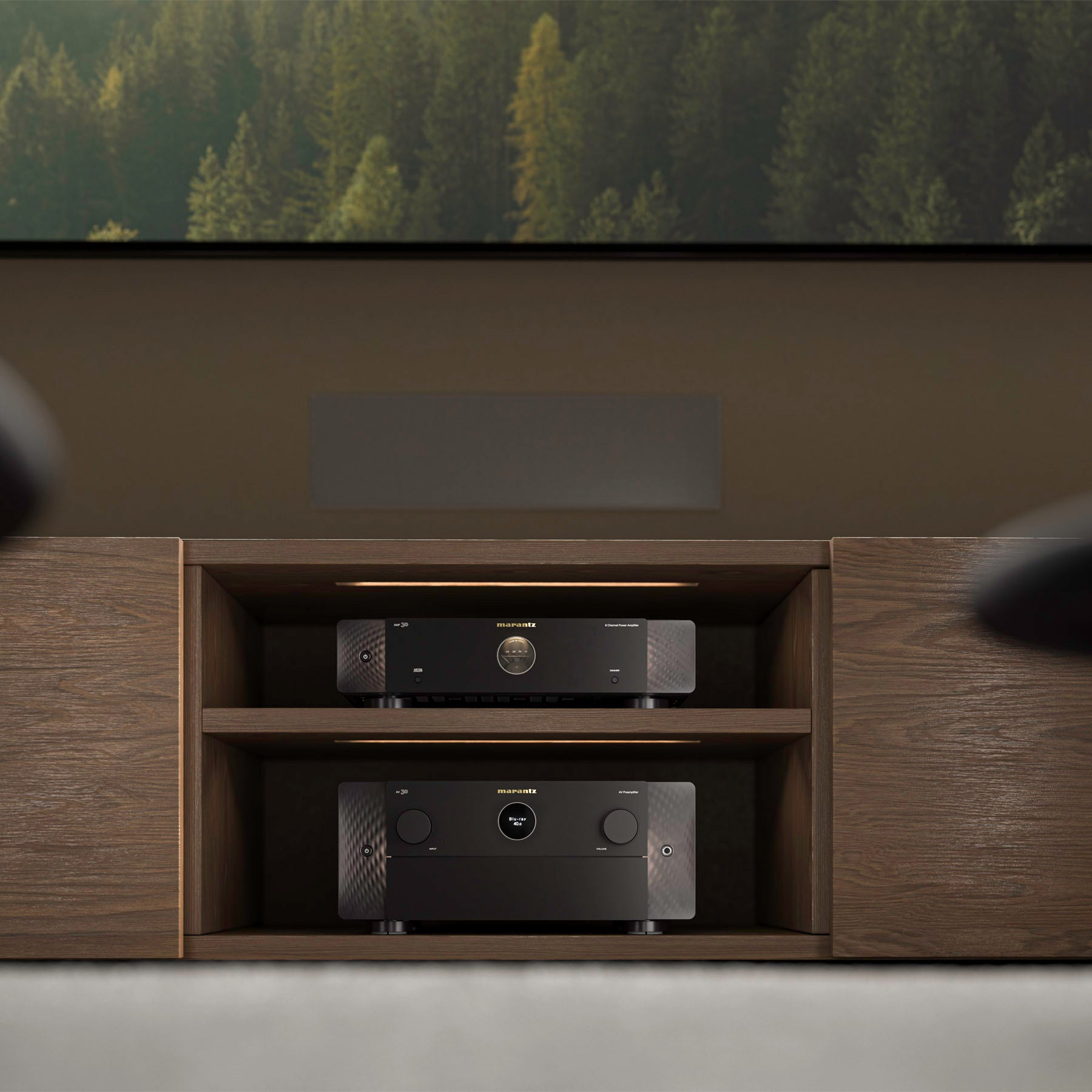 Audio equipment in a wooden cabinet with a forest background