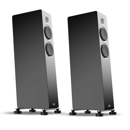 Pair of black floor-standing speakers on a white background