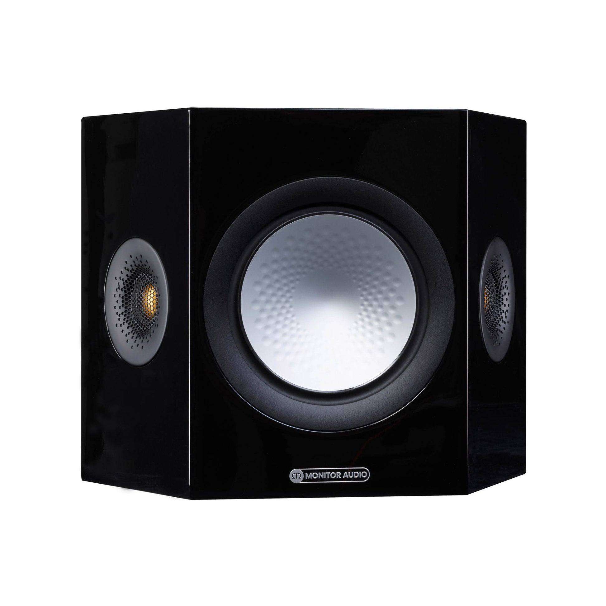 Black speaker with a white center on a white background
