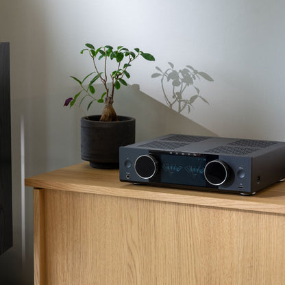 Audio amplifier on a wooden cabinet with a potted plant in the background