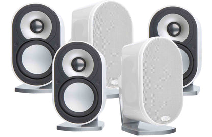 Paradigm MilleniaOne REL HT/1003 5.1 Speaker System