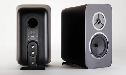 Custom Rega MX-125 Mid/Bass & ZRR High Frequency Drivers