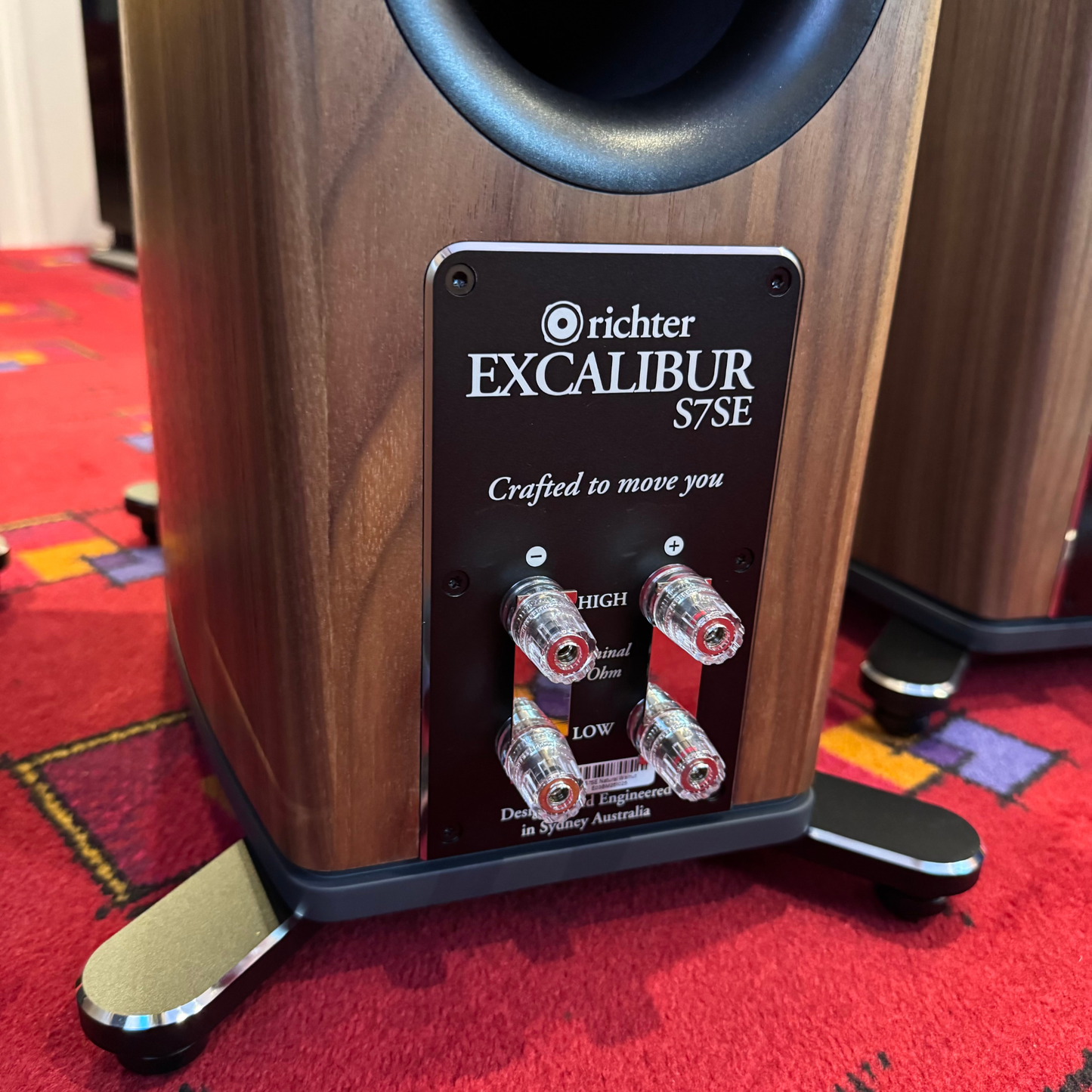 Richter Excalibur S7 Special Edition Speakers rear terminals
