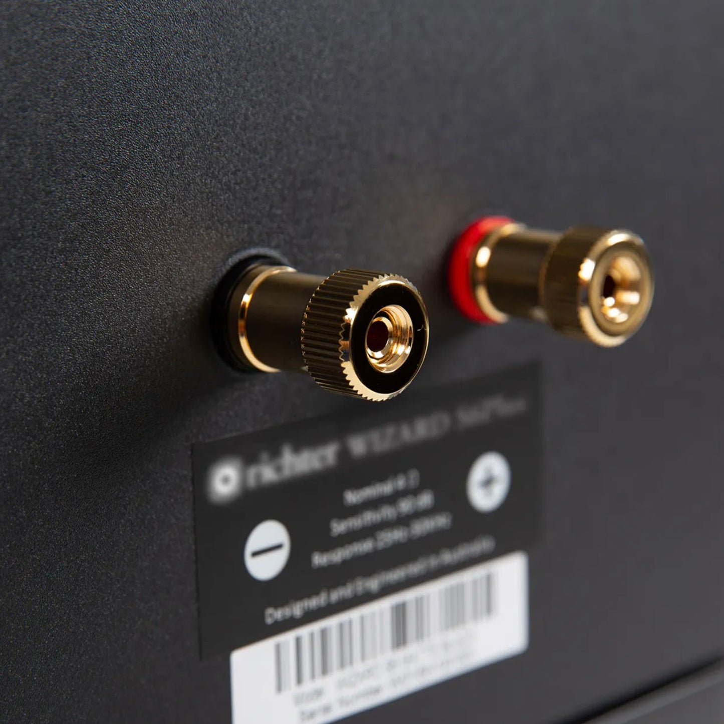 Richter Wizard S6 Plus Speakers