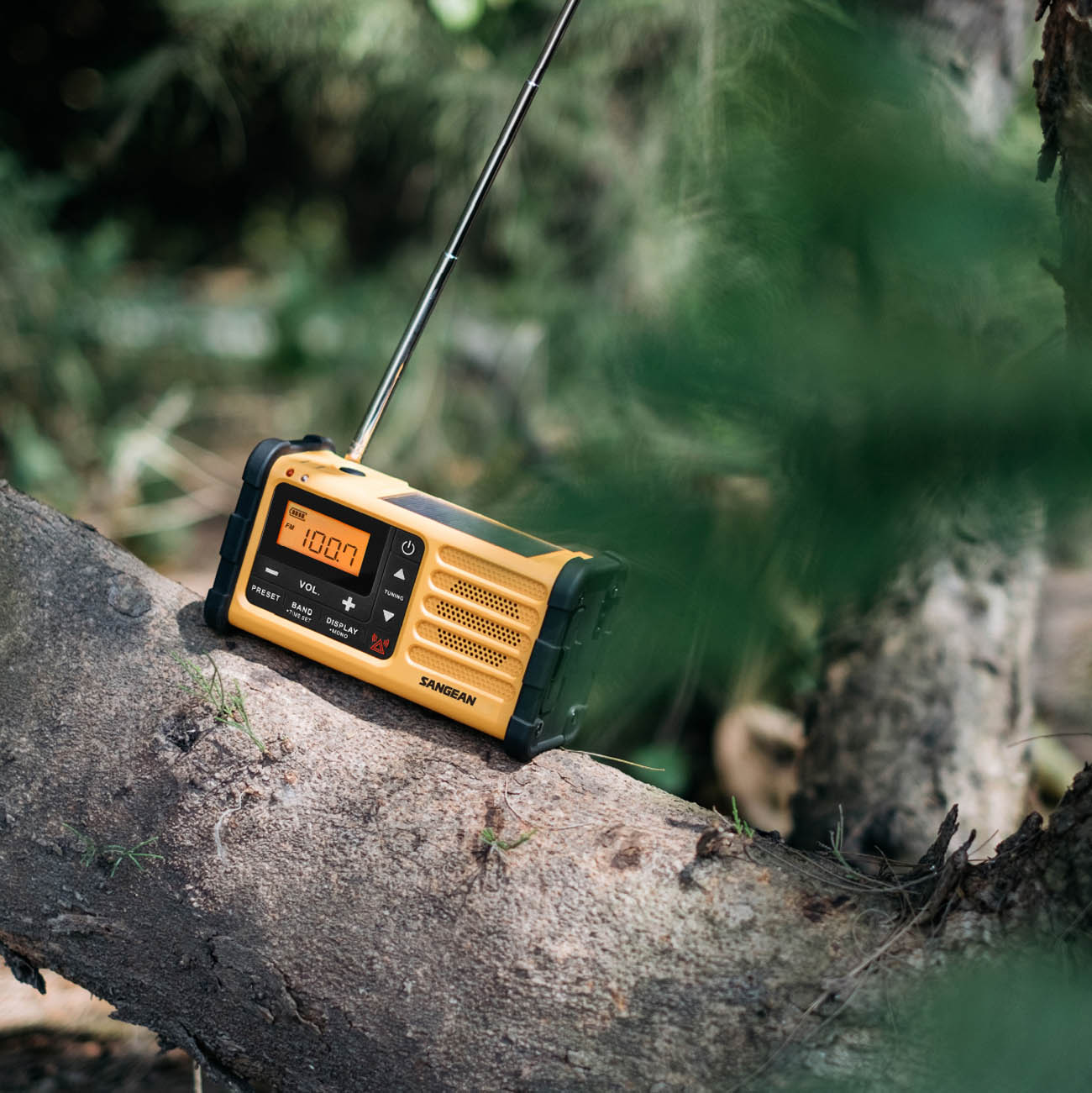 Sangean MMR-88 Emergency Radio on a tree branch with a blurred natural background
