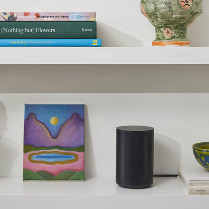Black Sonos Era 100 on a shelf with books and a painting in the background