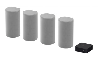 Discrete Wireless Home Theatre System