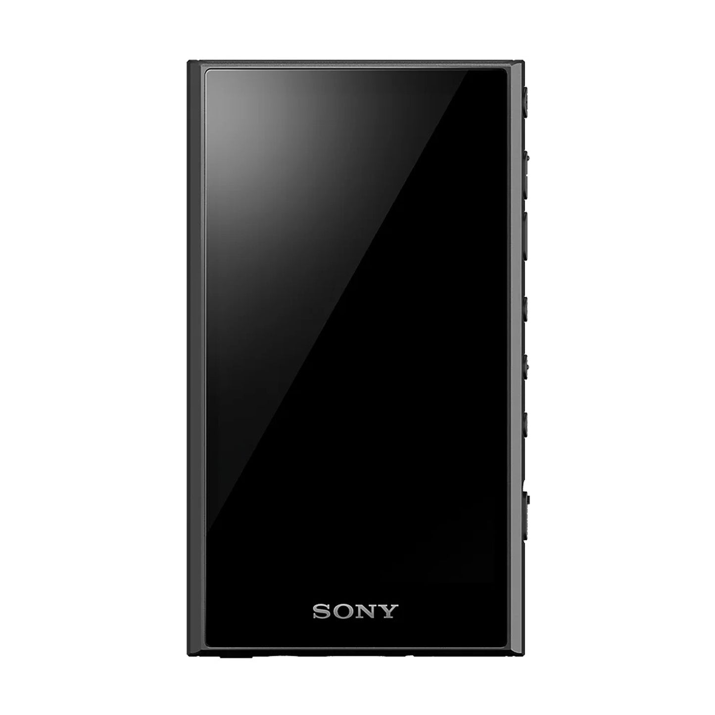 Sony NW-A306 Walkman
