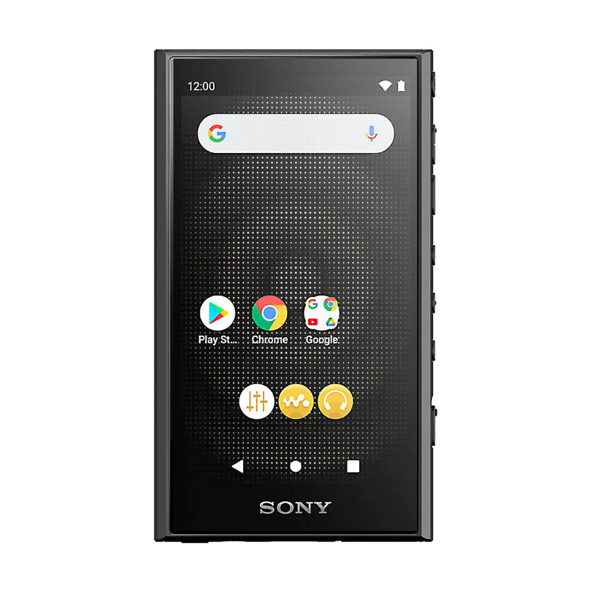Sony NW-A306 Walkman - Vibrant 3.6-Inch Touchscreen Display