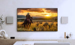 Sony Bravia Theatre Quad Wireless Cinema System - Setup with Television (Sold Separately)