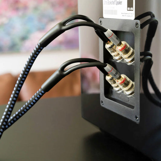 Close-up of a speaker with wiring and a blurred background