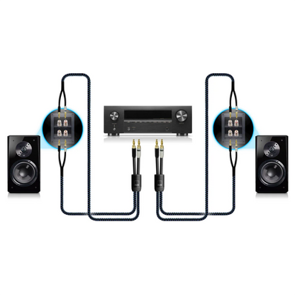 Audio setup diagram with speakers and receiver on a white background