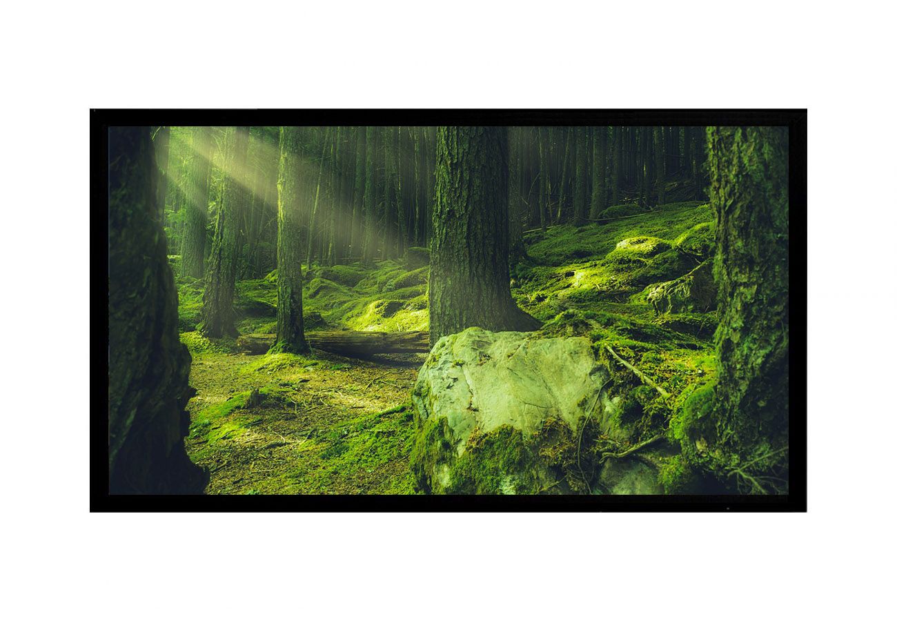 Tauris 130" Fixed Frame Screen