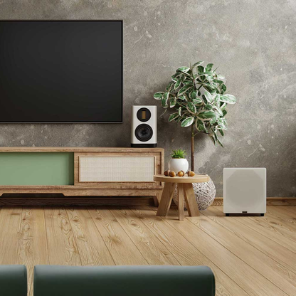 A modern living room setup featuring a white subwoofer on a light wood floor, alongside a wooden TV stand, wall-mounted TV, and a potted variegated plant against a textured gray wall.