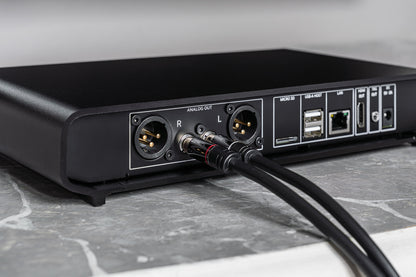 Close-up of the rear panel of a black audio device with XLR outputs, USB-A and USB-C ports, and connected audio cables, resting on a gray marble surface.