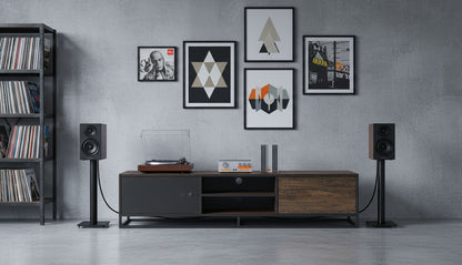 Modern living room with a television stand, speakers, and wall art.