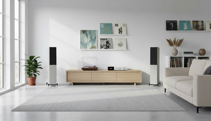 Modern living room with a sofa, coffee table, and decorative items.