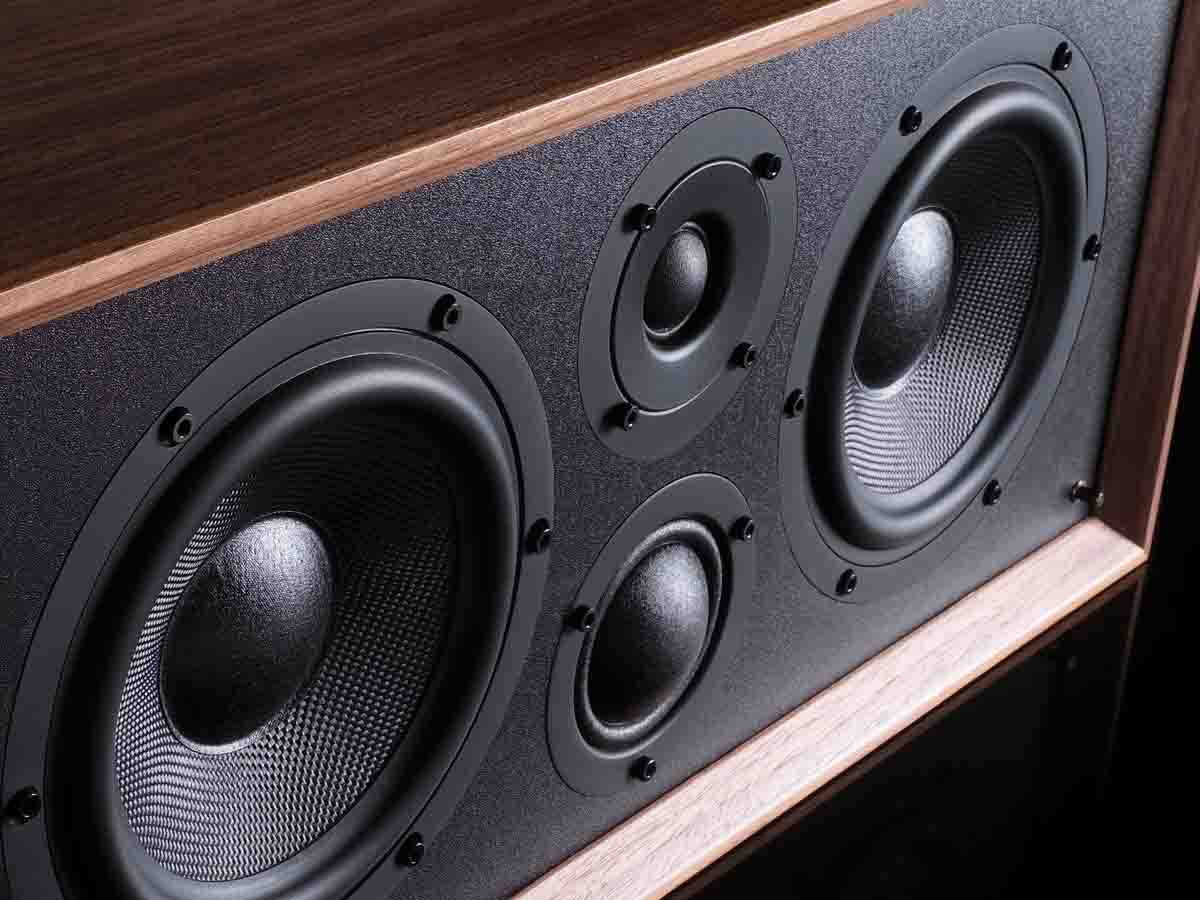 Close-up of a speaker with wooden finish