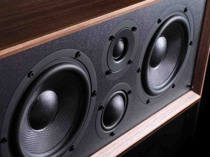 Close-up of a speaker with wooden finish