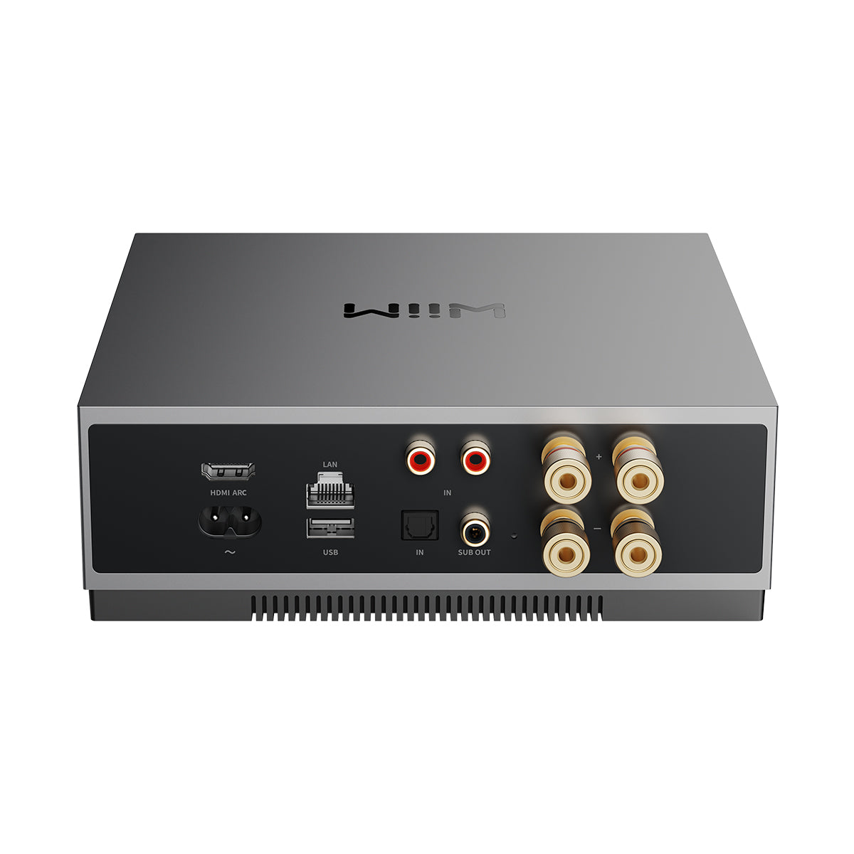 WiiM CI MOD A80 Custom Install Streaming Amplifier - Rear Connections