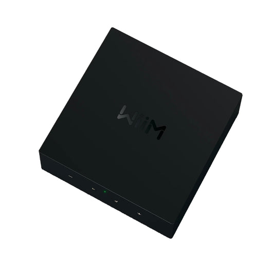 WiiM CI MOD S Custom Install Network Music Player