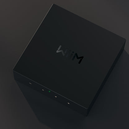 WiiM CI MOD S Custom Install Network Music Player - Top