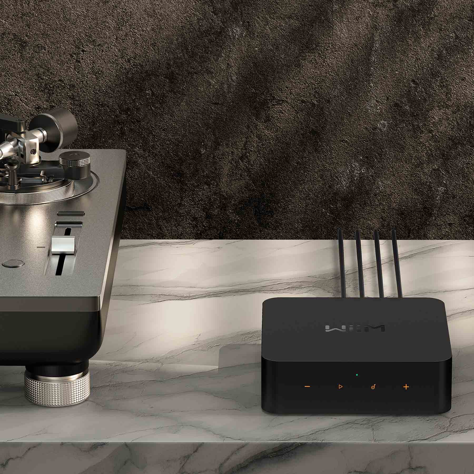 WiiM Pro - Compact, Easy To Use Network Music Player