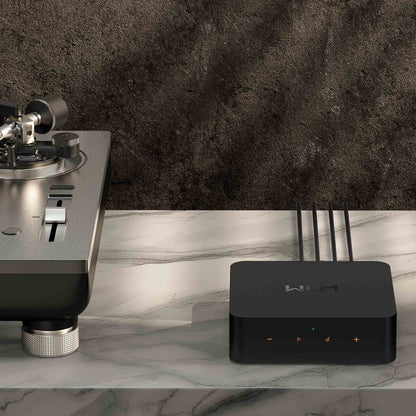 WiiM Pro - Compact, Easy To Use Network Music Player