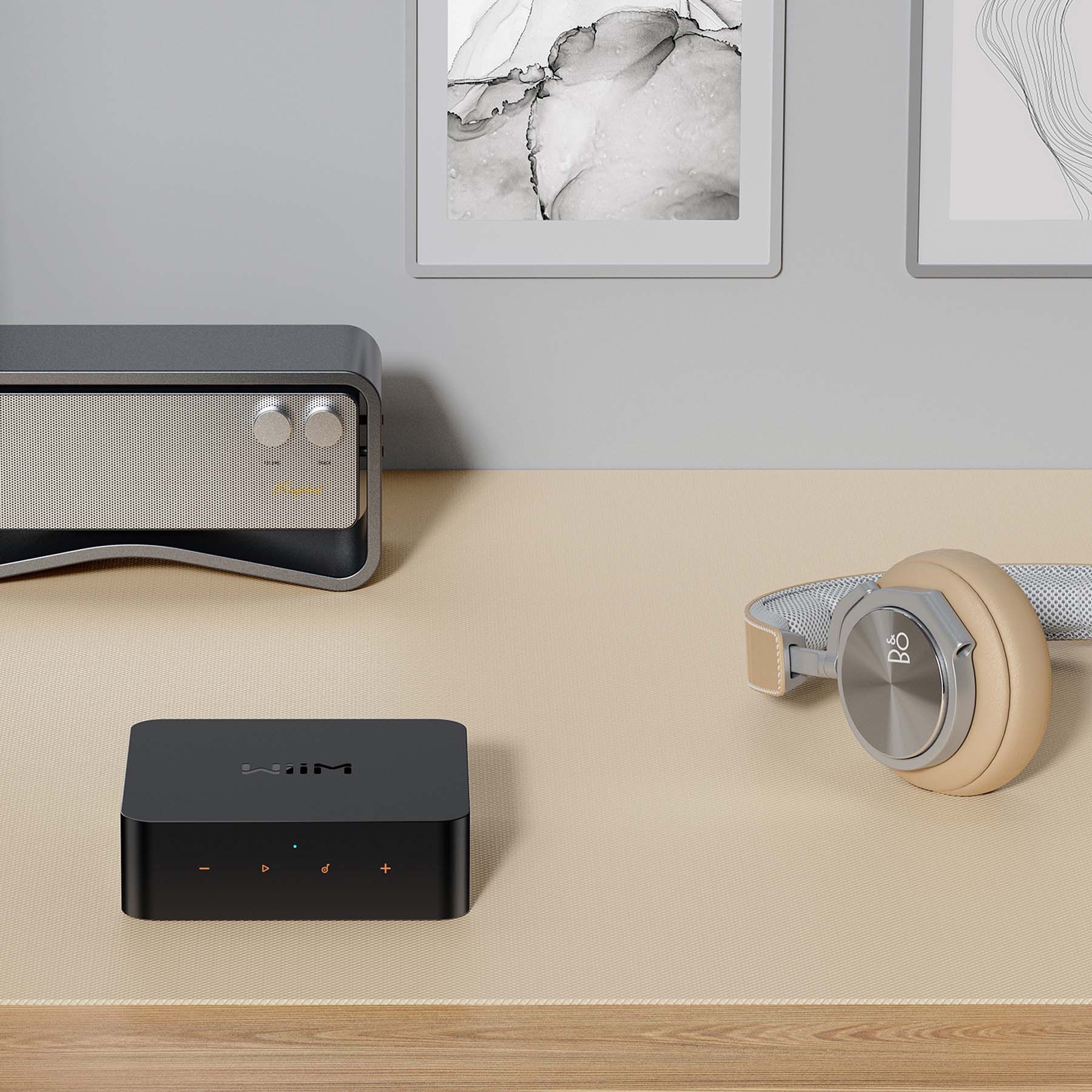 WiiM Pro Plus Network Music Streamer (Headphones Not Included)