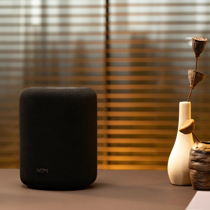 Black WiiM Sound Lite Smart Speaker on a surface with a decorative vase and rose in the background
