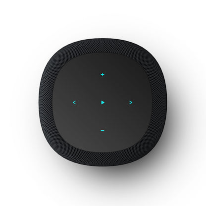 Top view of WiiM Sound Smart Speaker in black showing control panel