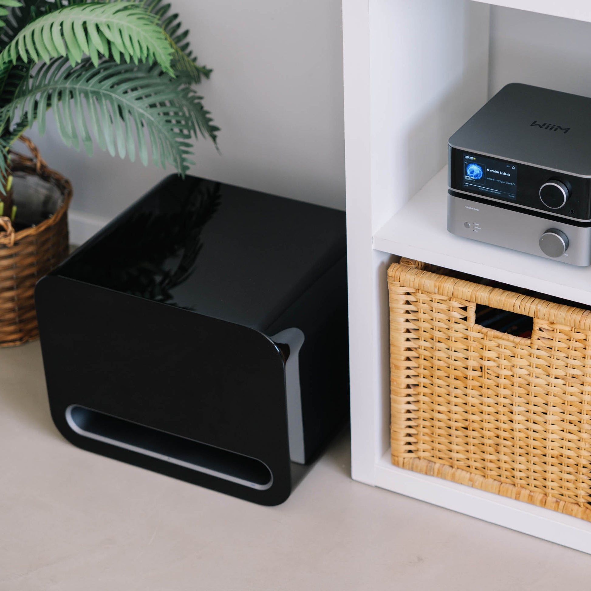 Black electronic device on a shelf next to a wicker basket and plant