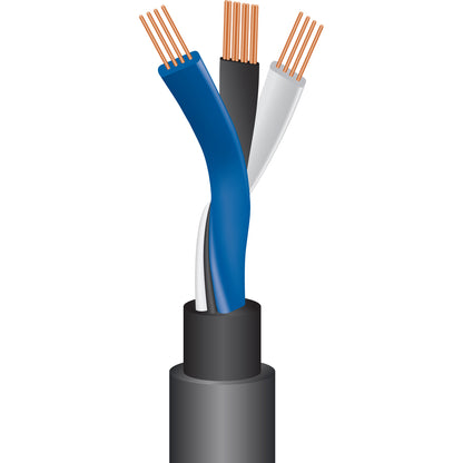 Wireworld Equinox 8 RCA Cable - Cutaway
