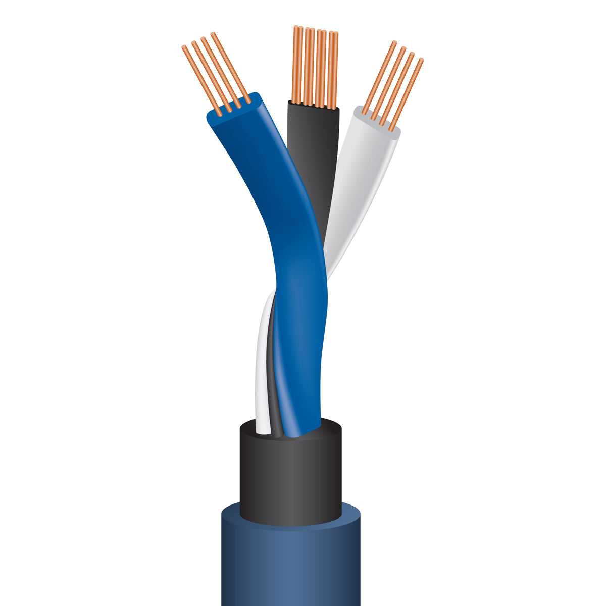 WireWorld Oasis 8 Subwoofer Cable - Cutaway of Tri-DNA Helix design