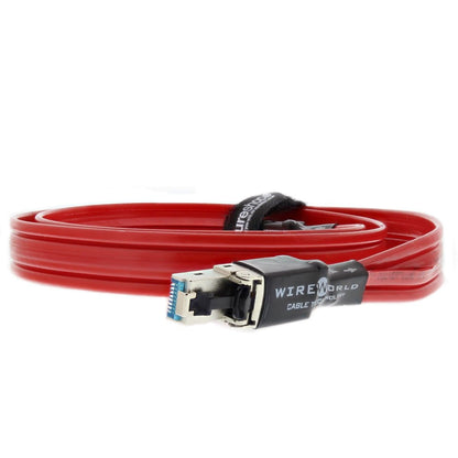 Wireworld Starlight 8 Twinax Ethernet Connection