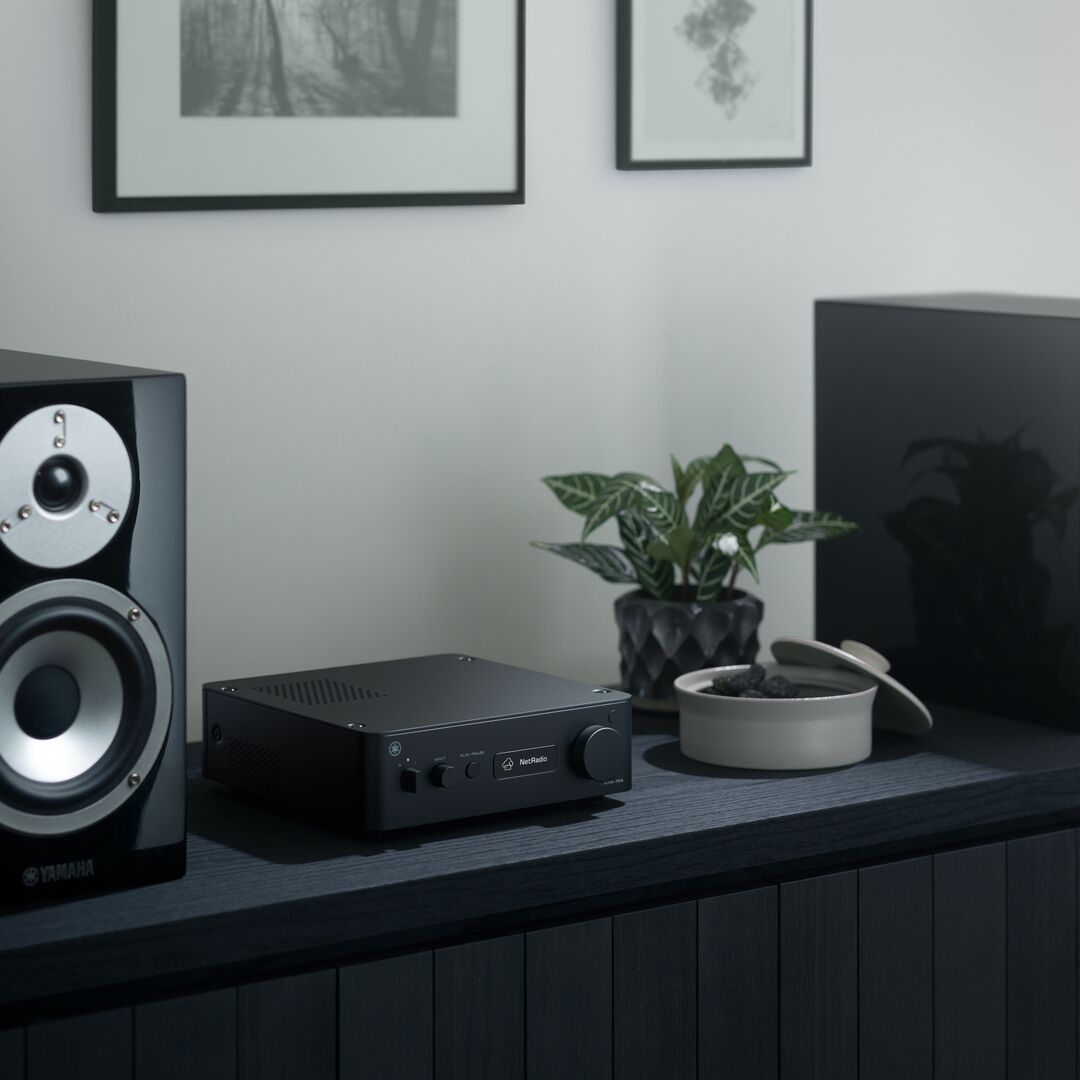 A black audio receiver or amplifier sits on a dark console table next to a speaker, with a small potted plant and a bowl nearby in a styled interior setting.