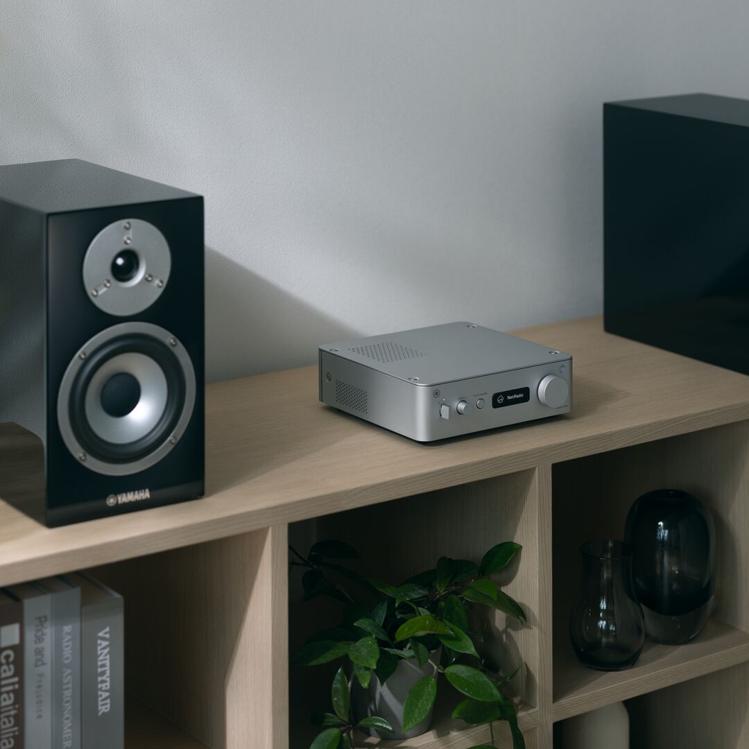 A silver electronic audio receiver sits on a light wood shelf between a black Yamaha speaker and another dark speaker, with books, a plant, and glass vases in the shelf cubbies below.